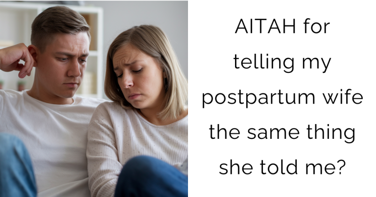 AITAH for telling my postpartum wife the same thing she told me?