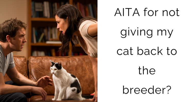 AITA for not giving my cat back to the breeder?