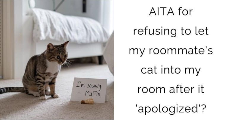 AITA for refusing to let my roommate’s cat into my room after it ‘apologized’?