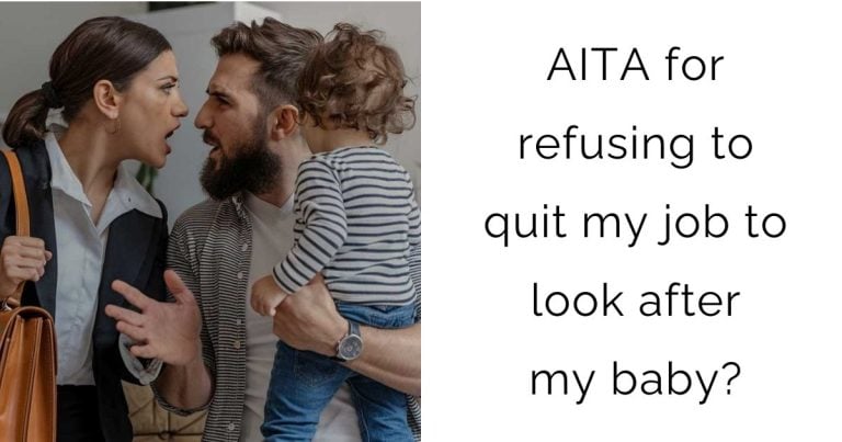 AITA for refusing to quit my job to look after my baby?