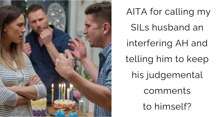 AITA for calling my SILs husband an interfering AH and telling him to keep his judgemental comments to himself?