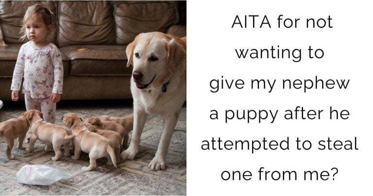 AITA for not wanting to give my nephew a puppy after he attempted to steal one from me?