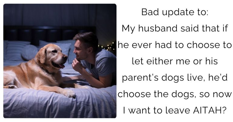 Bad update to: My husband said that if he ever had to choose to let either me or his parent’s dogs live, he’d choose the dogs, so now I want to leave AITAH?