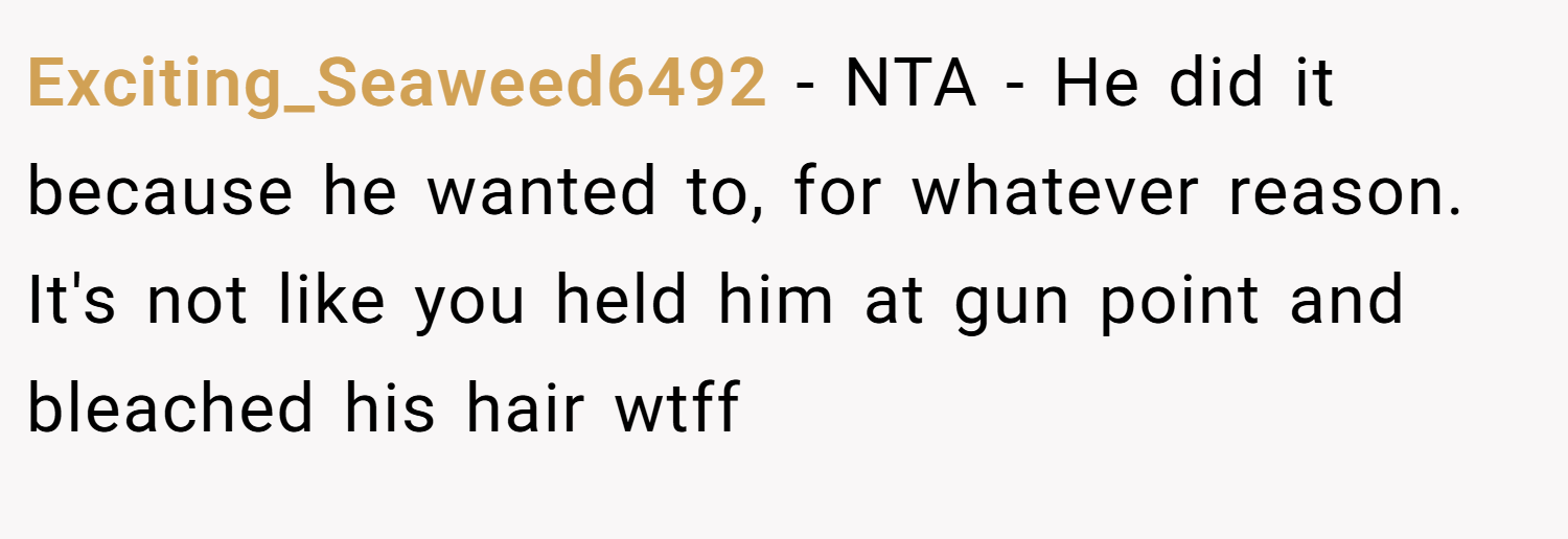 Exciting_Seaweed6492 − NTA - He did it because he wanted to, for whatever reason. It's not like you held him at gun point and bleached his hair wtff