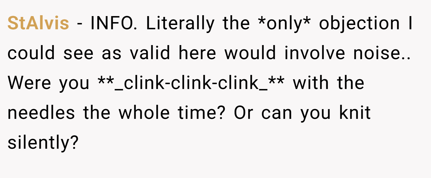 StAlvis − INFO. Literally the *only* objection I could see as valid here would involve noise.. Were you **_clink-clink-clink_** with the needles the whole time? Or can you knit silently?