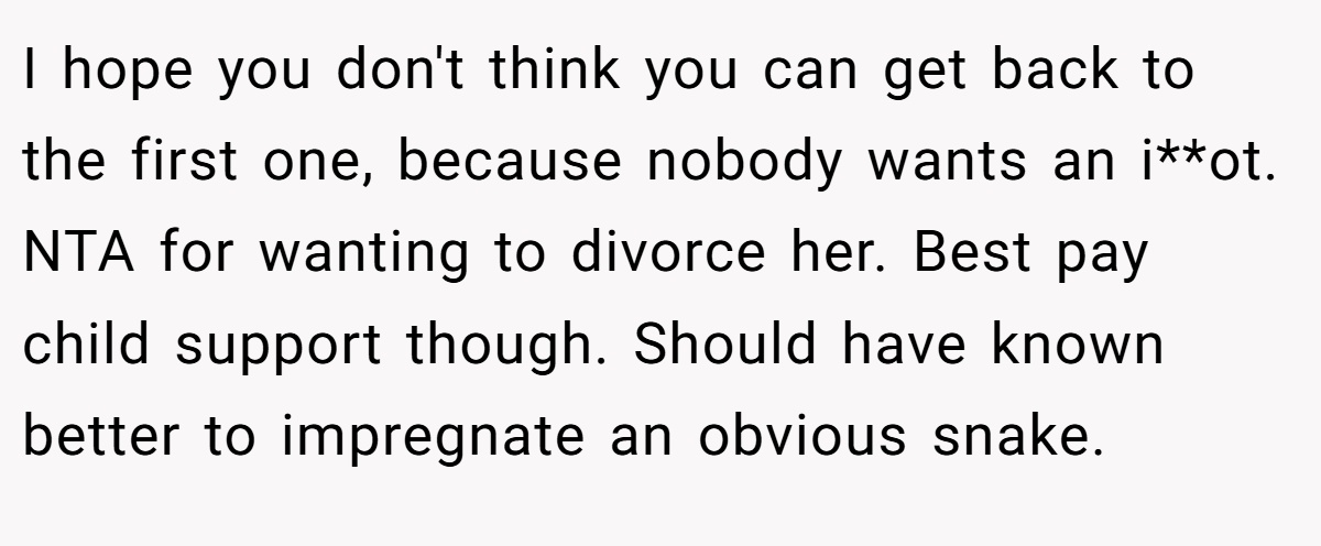 I hope you don't think you can get back to the first one, because nobody wants an i**ot. NTA for wanting to divorce her. Best pay child support though. Should have known better to impregnate an obvious snake.