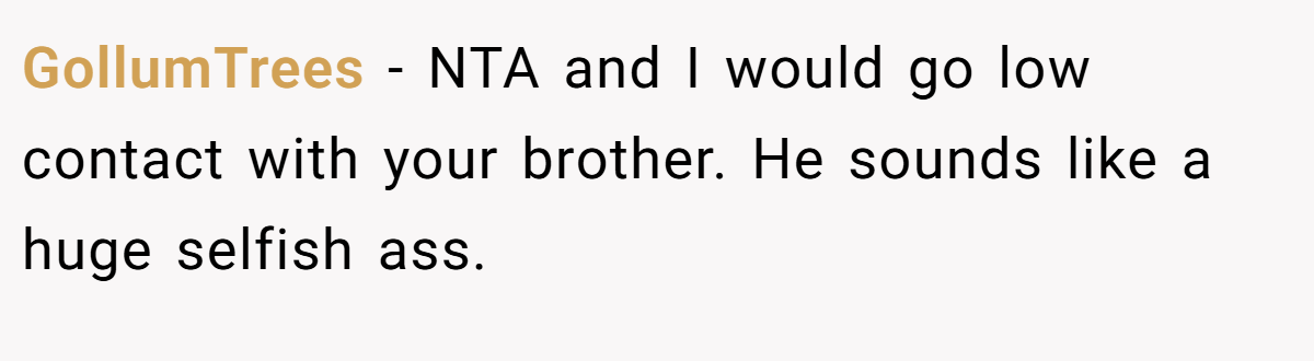 GollumTrees − NTA and I would go low contact with your brother. He sounds like a huge selfish ass.