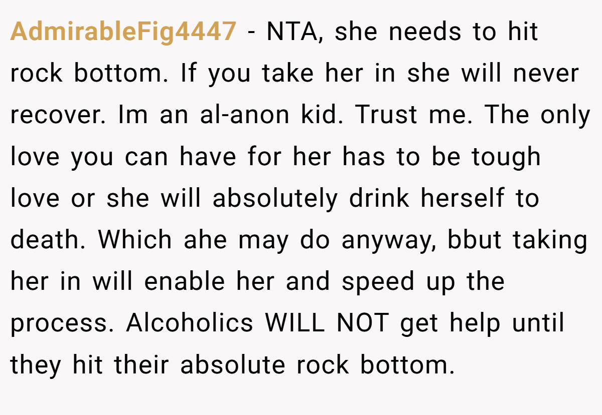 AdmirableFig4447 − NTA, she needs to hit rock bottom. If you take her in she will never recover. Im an al-anon kid. Trust me. The only love you can have for her has to be tough love or she will absolutely drink herself to death. Which ahe may do anyway, bbut taking her in will enable her and speed up the process. Alcoholics WILL NOT get help until they hit their absolute rock bottom.