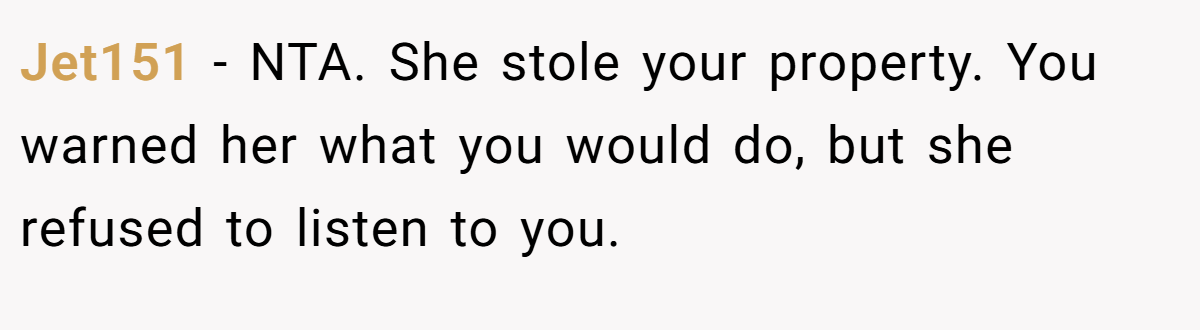 Jet151 − NTA. She stole your property. You warned her what you would do, but she refused to listen to you.