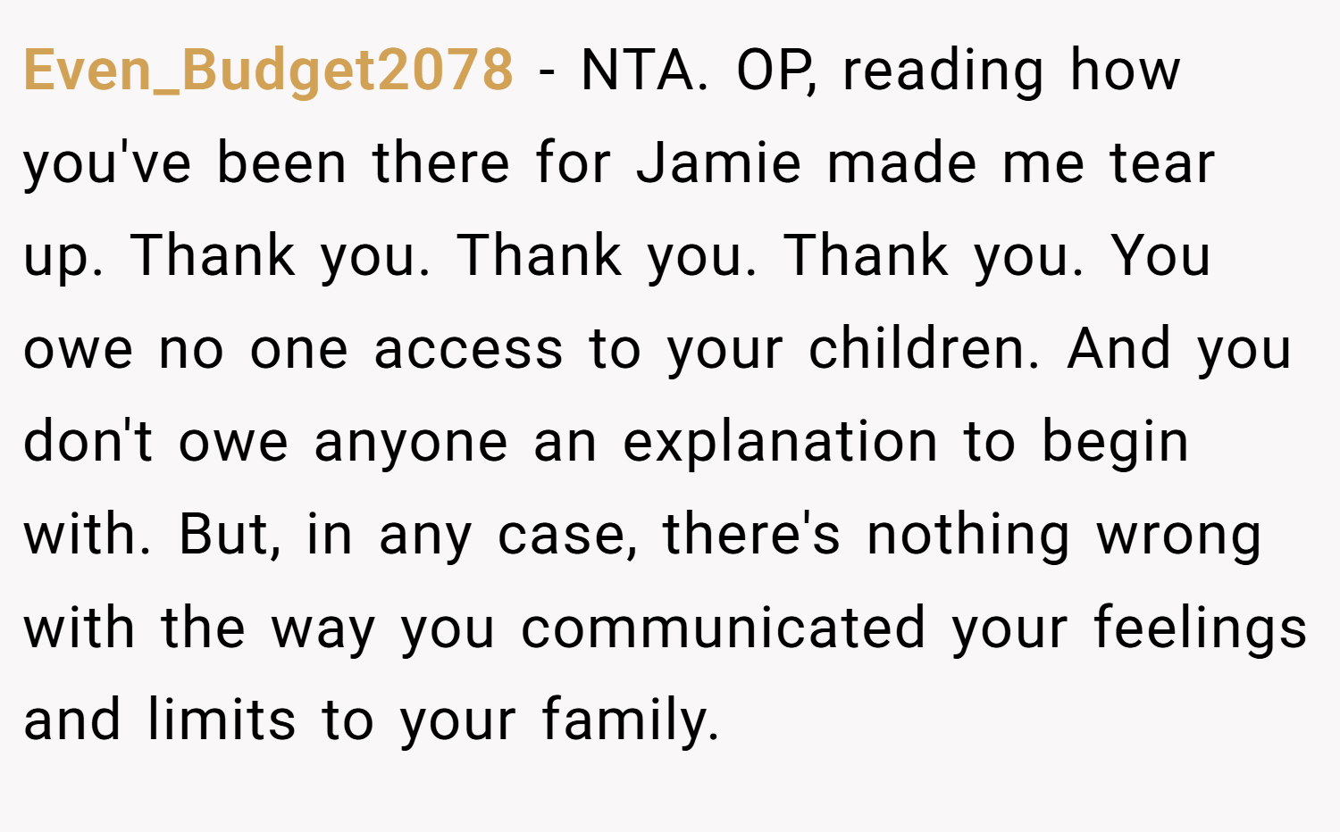 Even_Budget2078 − NTA. OP, reading how you've been there for Jamie made me tear up. Thank you. Thank you. Thank you. You owe no one access to your children. And you don't owe anyone an explanation to begin with. But, in any case, there's nothing wrong with the way you communicated your feelings and limits to your family.
