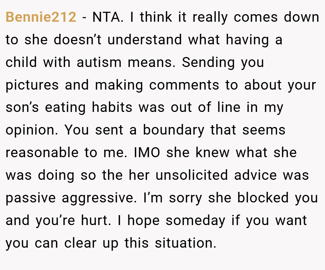 Bennie212 − NTA. I think it really comes down to she doesn’t understand what having a child with autism means. Sending you pictures and making comments to about your son’s eating habits was out of line in my opinion. You sent a boundary that seems reasonable to me. IMO she knew what she was doing so the her unsolicited advice was passive aggressive. I’m sorry she blocked you and you’re hurt. I hope someday if you want you can clear up this situation.