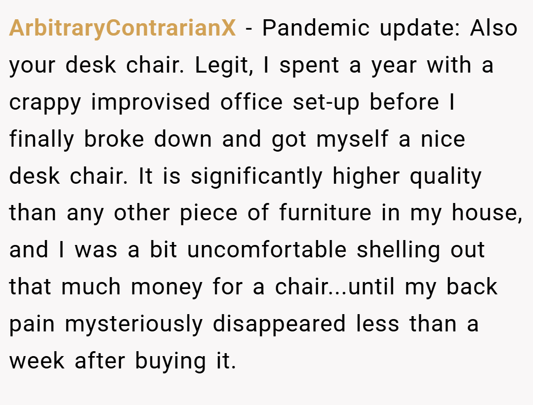 ArbitraryContrarianX − Pandemic update: Also your desk chair. Legit, I spent a year with a crappy improvised office set-up before I finally broke down and got myself a nice desk chair. It is significantly higher quality than any other piece of furniture in my house, and I was a bit uncomfortable shelling out that much money for a chair...until my back pain mysteriously disappeared less than a week after buying it.