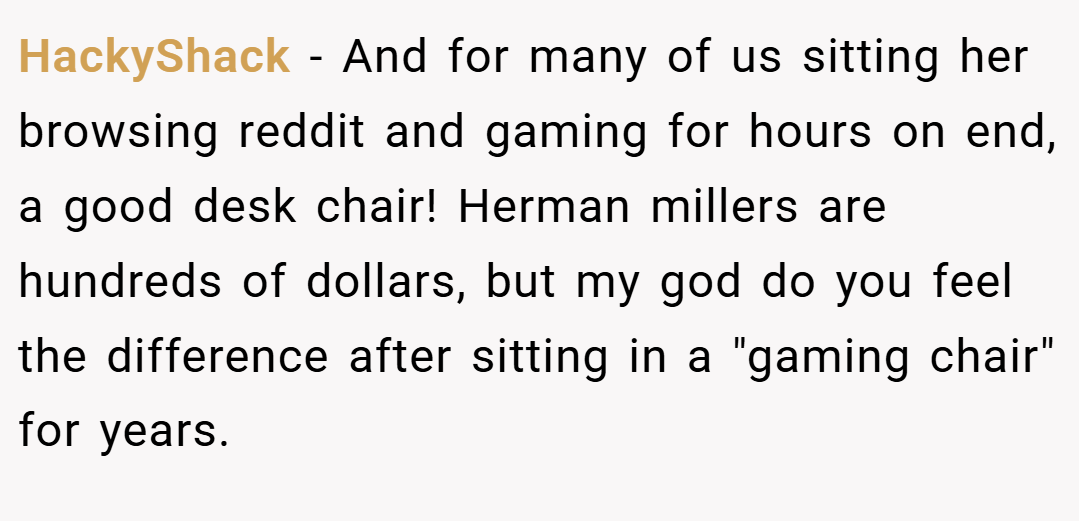 HackyShack − And for many of us sitting her browsing reddit and gaming for hours on end, a good desk chair! Herman millers are hundreds of dollars, but my god do you feel the difference after sitting in a 
