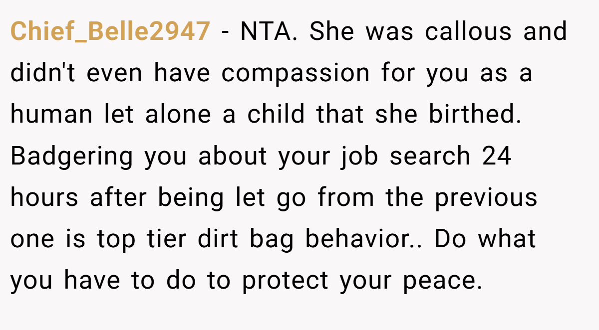 Chief_Belle2947 − NTA. She was callous and didn't even have compassion for you as a human let alone a child that she birthed. Badgering you about your job search 24 hours after being let go from the previous one is top tier dirt bag behavior.. Do what you have to do to protect your peace.