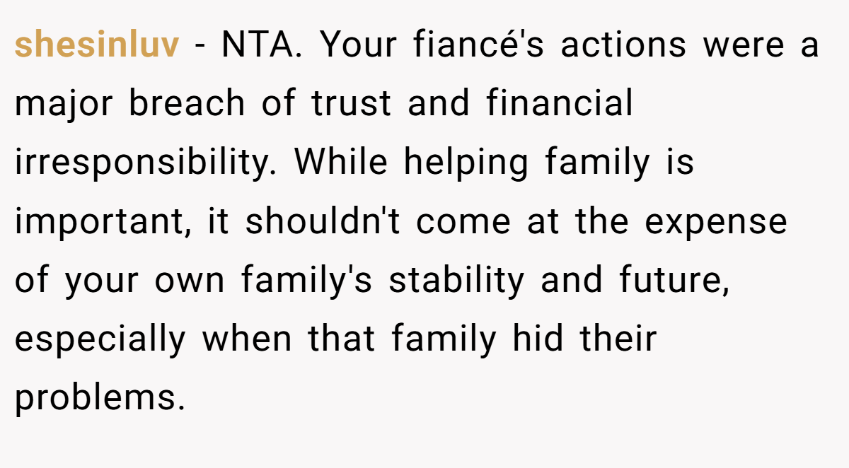 shesinluv − NTA. Your fiancé's actions were a major breach of trust and financial irresponsibility. While helping family is important, it shouldn't come at the expense of your own family's stability and future, especially when that family hid their problems.