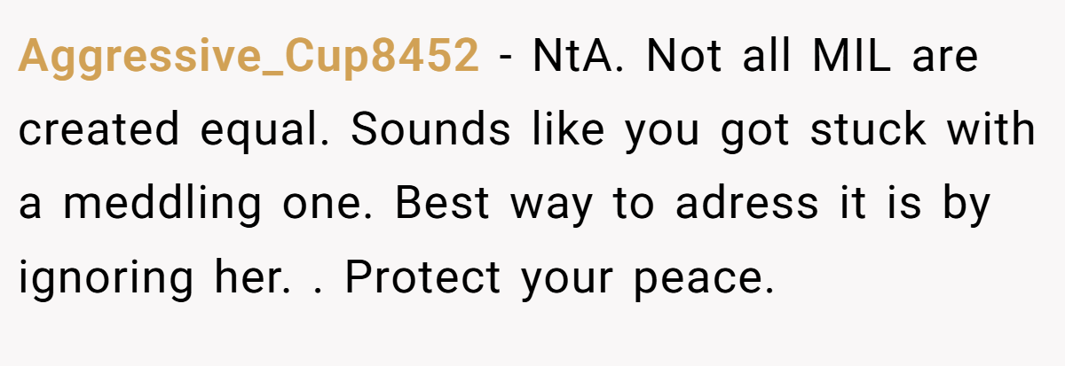 Aggressive_Cup8452 − NtA. Not all MIL are created equal. Sounds like you got stuck with a meddling one. Best way to adress it is by ignoring her. . Protect your peace.