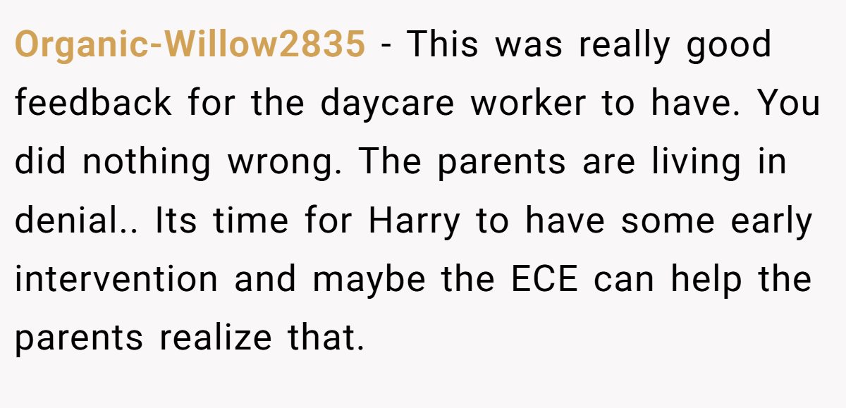 Organic-Willow2835 − This was really good feedback for the daycare worker to have. You did nothing wrong. The parents are living in denial.. Its time for Harry to have some early intervention and maybe the ECE can help the parents realize that.