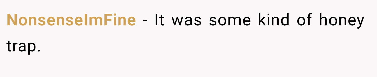 NonsenseImFine − It was some kind of honey trap.
