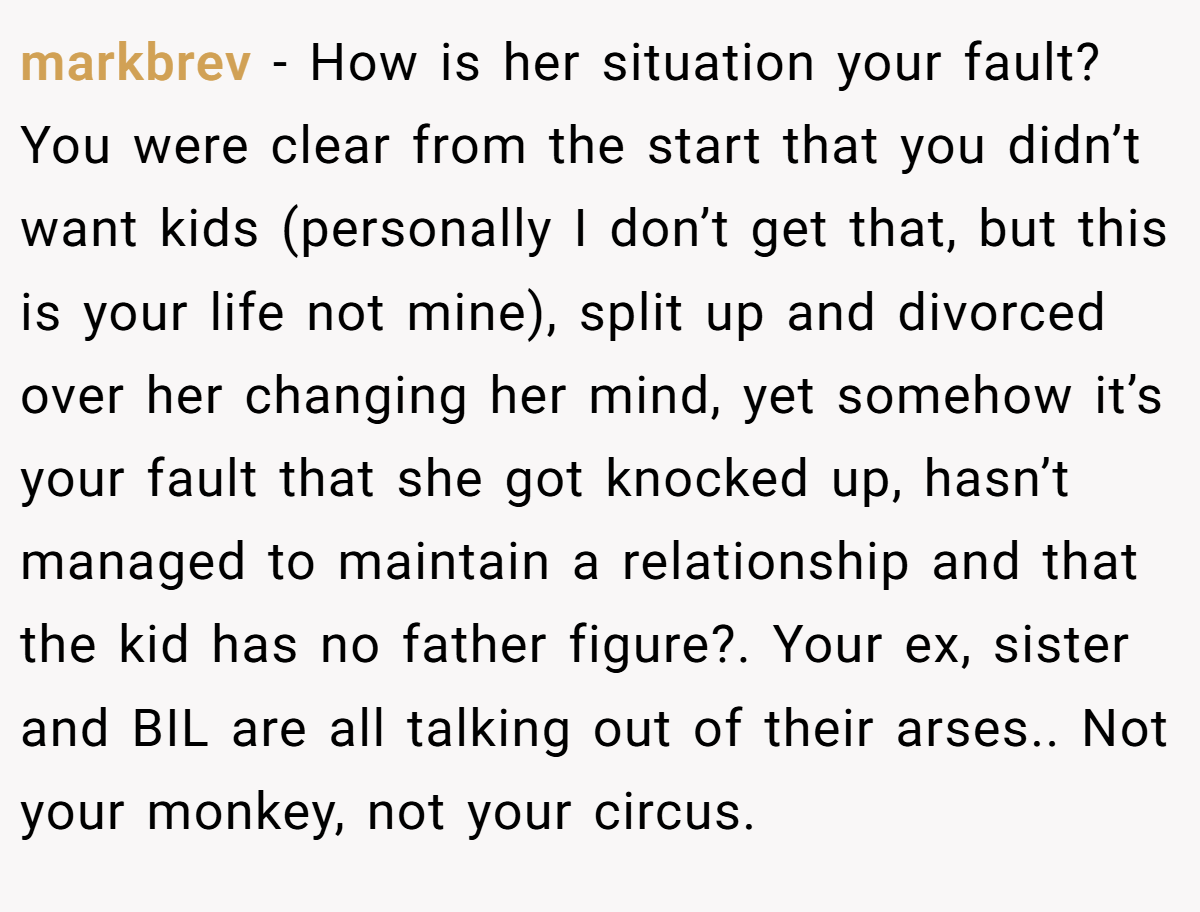 markbrev − How is her situation your fault? You were clear from the start that you didn’t want kids (personally I don’t get that, but this is your life not mine), split up and divorced over her changing her mind, yet somehow it’s your fault that she got knocked up, hasn’t managed to maintain a relationship and that the kid has no father figure?. Your ex, sister and BIL are all talking out of their arses.. Not your monkey, not your circus.