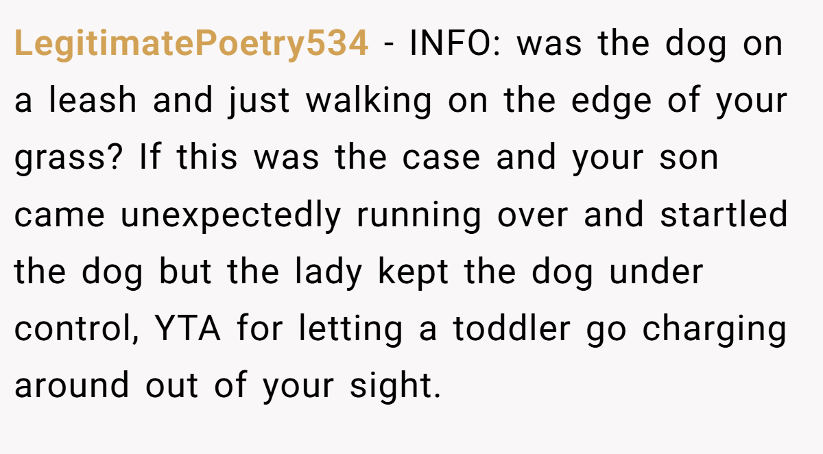 LegitimatePoetry534 − INFO: was the dog on a leash and just walking on the edge of your grass? If this was the case and your son came unexpectedly running over and startled the dog but the lady kept the dog under control, YTA for letting a toddler go charging around out of your sight.