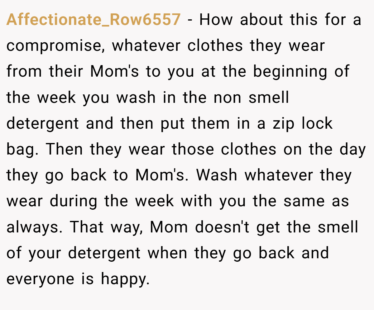 Affectionate_Row6557 − How about this for a compromise, whatever clothes they wear from their Mom's to you at the beginning of the week you wash in the non smell detergent and then put them in a zip lock bag. Then they wear those clothes on the day they go back to Mom's. Wash whatever they wear during the week with you the same as always. That way, Mom doesn't get the smell of your detergent when they go back and everyone is happy.