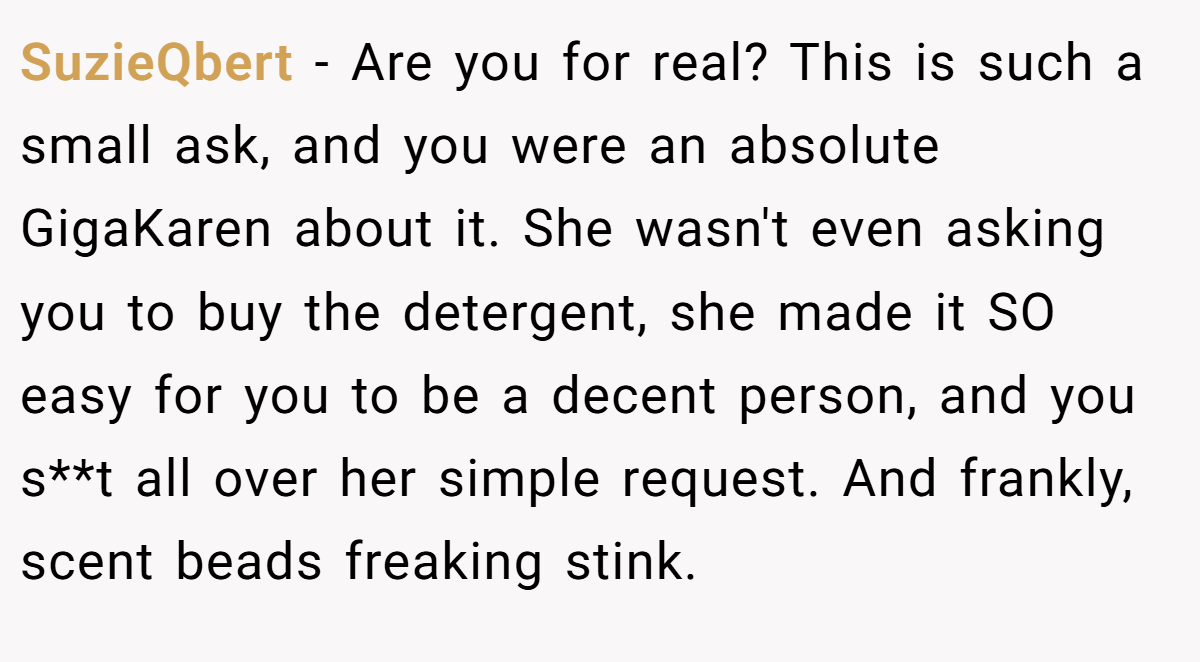 SuzieQbert − Are you for real? This is such a small ask, and you were an absolute GigaKaren about it. She wasn't even asking you to buy the detergent, she made it SO easy for you to be a decent person, and you s**t all over her simple request. And frankly, scent beads freaking stink.