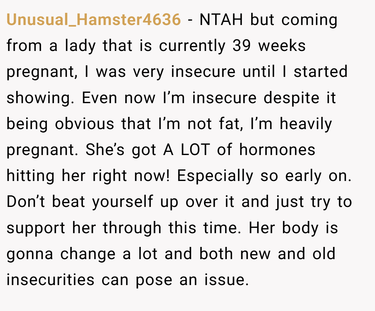 Unusual_Hamster4636 − NTAH but coming from a lady that is currently 39 weeks pregnant, I was very insecure until I started showing. Even now I’m insecure despite it being obvious that I’m not fat, I’m heavily pregnant. She’s got A LOT of hormones hitting her right now! Especially so early on. Don’t beat yourself up over it and just try to support her through this time. Her body is gonna change a lot and both new and old insecurities can pose an issue.