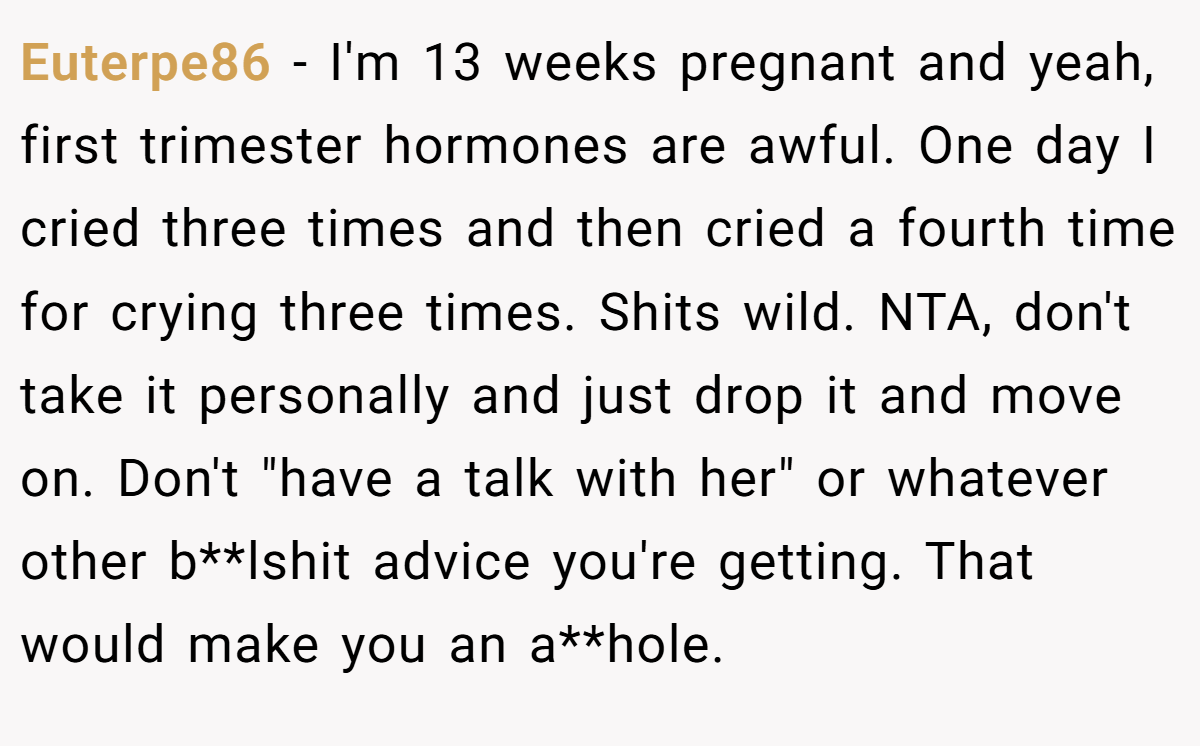 Euterpe86 − I'm 13 weeks pregnant and yeah, first trimester hormones are awful. One day I cried three times and then cried a fourth time for crying three times. Shits wild. NTA, don't take it personally and just drop it and move on. Don't 