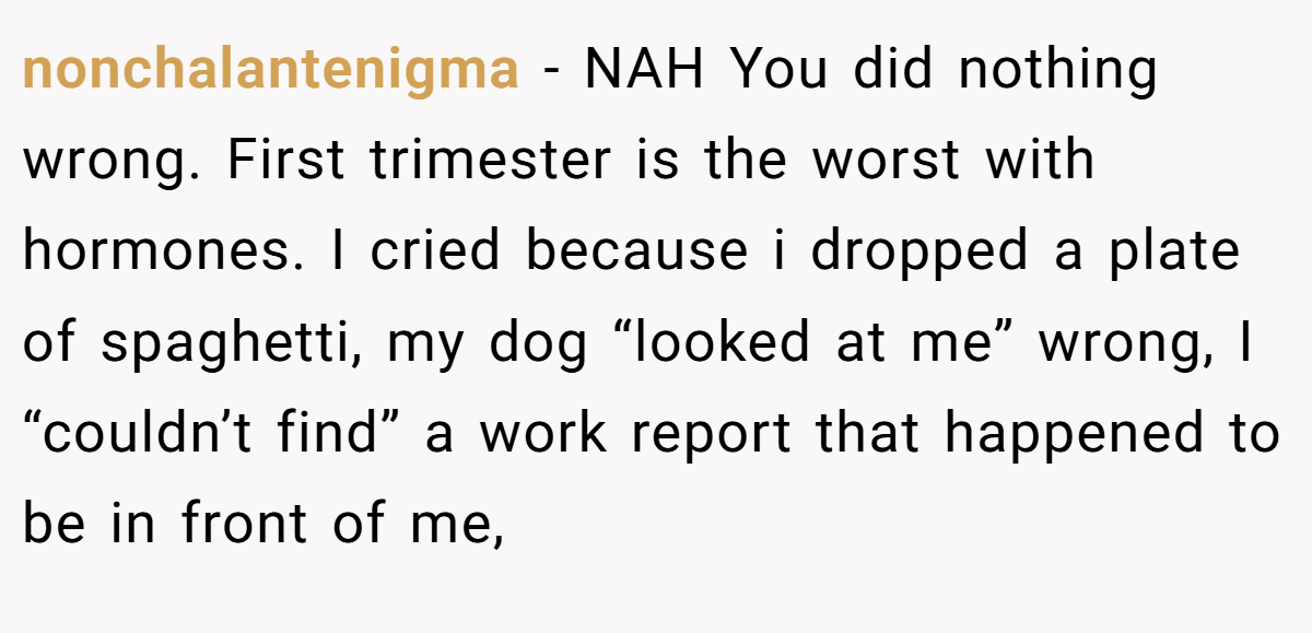 nonchalantenigma − NAH You did nothing wrong. First trimester is the worst with hormones. I cried because i dropped a plate of spaghetti, my dog “looked at me” wrong, I “couldn’t find” a work report that happened to be in front of me,