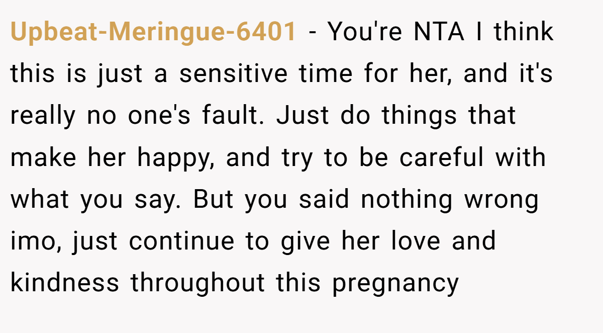 Upbeat-Meringue-6401 − You're NTA I think this is just a sensitive time for her, and it's really no one's fault. Just do things that make her happy, and try to be careful with what you say. But you said nothing wrong imo, just continue to give her love and kindness throughout this pregnancy