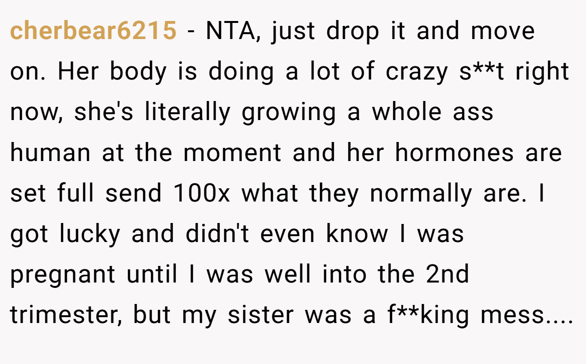 cherbear6215 − NTA, just drop it and move on. Her body is doing a lot of crazy s**t right now, she's literally growing a whole ass human at the moment and her hormones are set full send 100x what they normally are. I got lucky and didn't even know I was pregnant until I was well into the 2nd trimester, but my sister was a f**king mess....