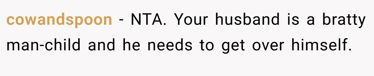 cowandspoon −  NTA. Your husband is a bratty man-child and he needs to get over himself.