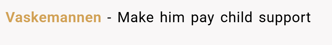 Vaskemannen − Make him pay child support