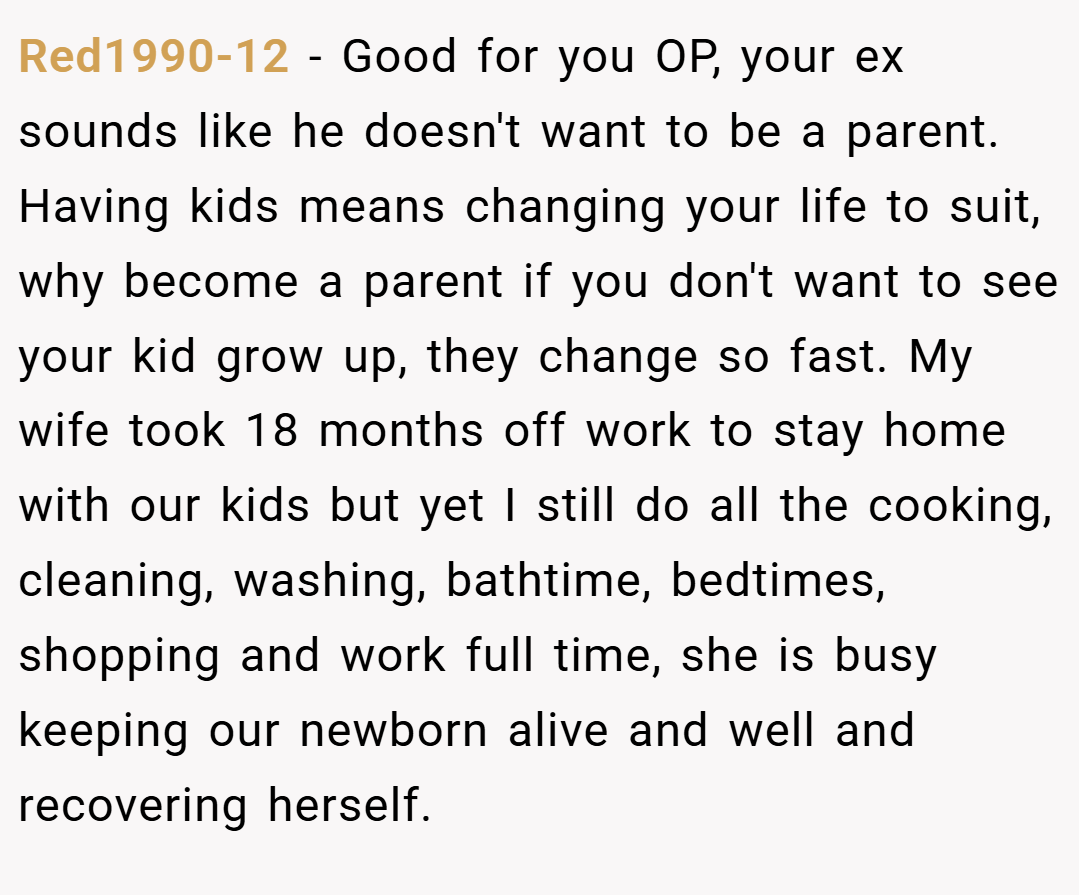 Red1990-12 − Good for you OP, your ex sounds like he doesn't want to be a parent. Having kids means changing your life to suit, why become a parent if you don't want to see your kid grow up, they change so fast. My wife took 18 months off work to stay home with our kids but yet I still do all the cooking, cleaning, washing, bathtime, bedtimes, shopping and work full time, she is busy keeping our newborn alive and well and recovering herself.
