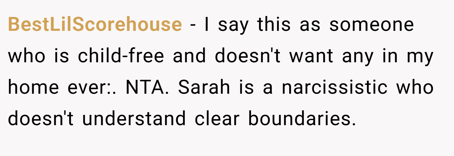 BestLilScorehouse − I say this as someone who is child-free and doesn't want any in my home ever:. NTA. Sarah is a narcissistic who doesn't understand clear boundaries.
