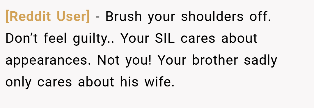 [Reddit User] − Brush your shoulders off. Don’t feel guilty.. Your SIL cares about appearances. Not you! Your brother sadly only cares about his wife.