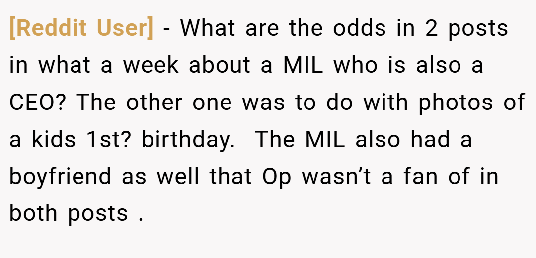 [Reddit User] − What are the odds in 2 posts in what a week about a MIL who is also a CEO? The other one was to do with photos of a kids 1st? birthday.  The MIL also had a boyfriend as well that Op wasn’t a fan of in both posts .