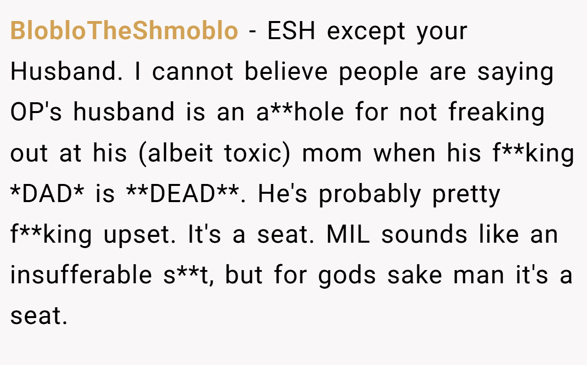BlobloTheShmoblo − ESH except your Husband. I cannot believe people are saying OP's husband is an a**hole for not freaking out at his (albeit toxic) mom when his f**king *DAD* is **DEAD**. He's probably pretty f**king upset. It's a seat. MIL sounds like an insufferable s**t, but for gods sake man it's a seat.