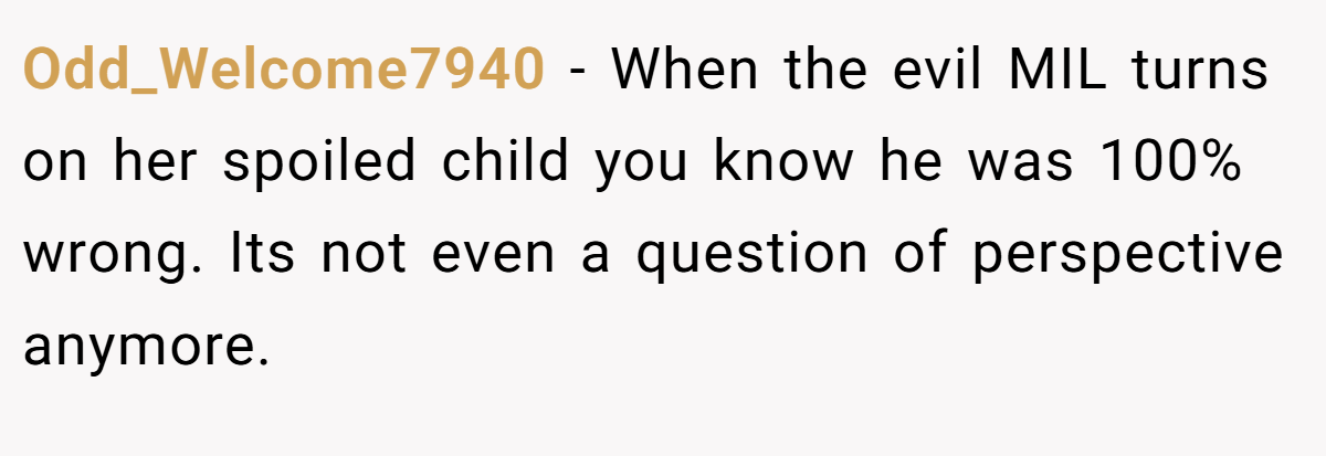 Odd_Welcome7940 − When the evil MIL turns on her spoiled child you know he was 100% wrong. Its not even a question of perspective anymore.