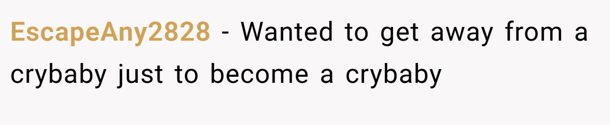 EscapeAny2828 − Wanted to get away from a crybaby just to become a crybaby