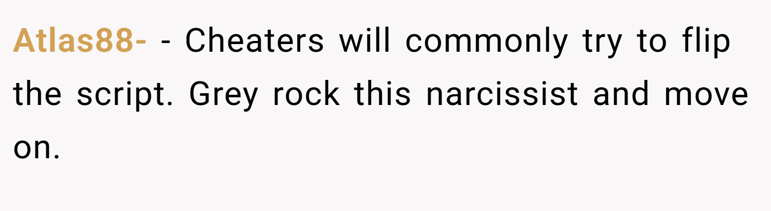 Atlas88- − Cheaters will commonly try to flip the script. Grey rock this narcissist and move on.