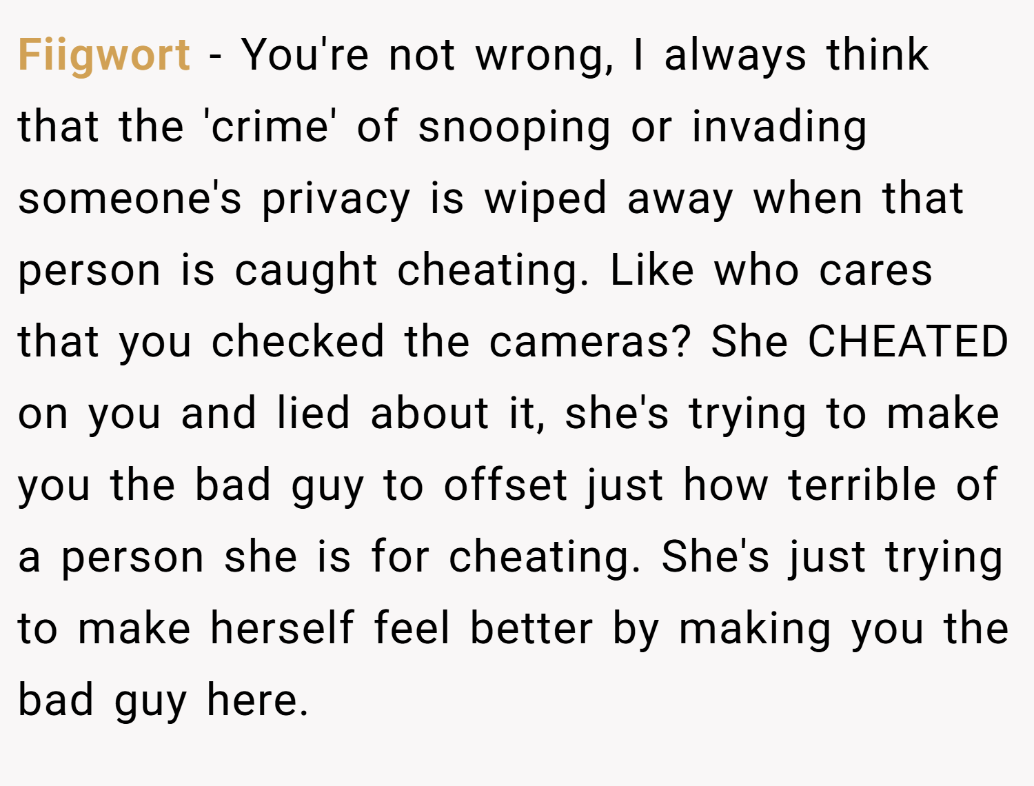 Fiigwort − You're not wrong, I always think that the 'crime' of snooping or invading someone's privacy is wiped away when that person is caught cheating. Like who cares that you checked the cameras? She CHEATED on you and lied about it, she's trying to make you the bad guy to offset just how terrible of a person she is for cheating. She's just trying to make herself feel better by making you the bad guy here.
