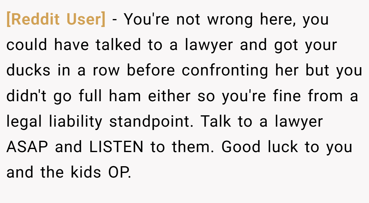 [Reddit User] − You're not wrong here, you could have talked to a lawyer and got your ducks in a row before confronting her but you didn't go full ham either so you're fine from a legal liability standpoint. Talk to a lawyer ASAP and LISTEN to them. Good luck to you and the kids OP.