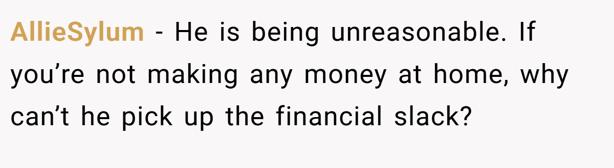 AllieSylum − He is being unreasonable. If you’re not making any money at home, why can’t he pick up the financial slack?