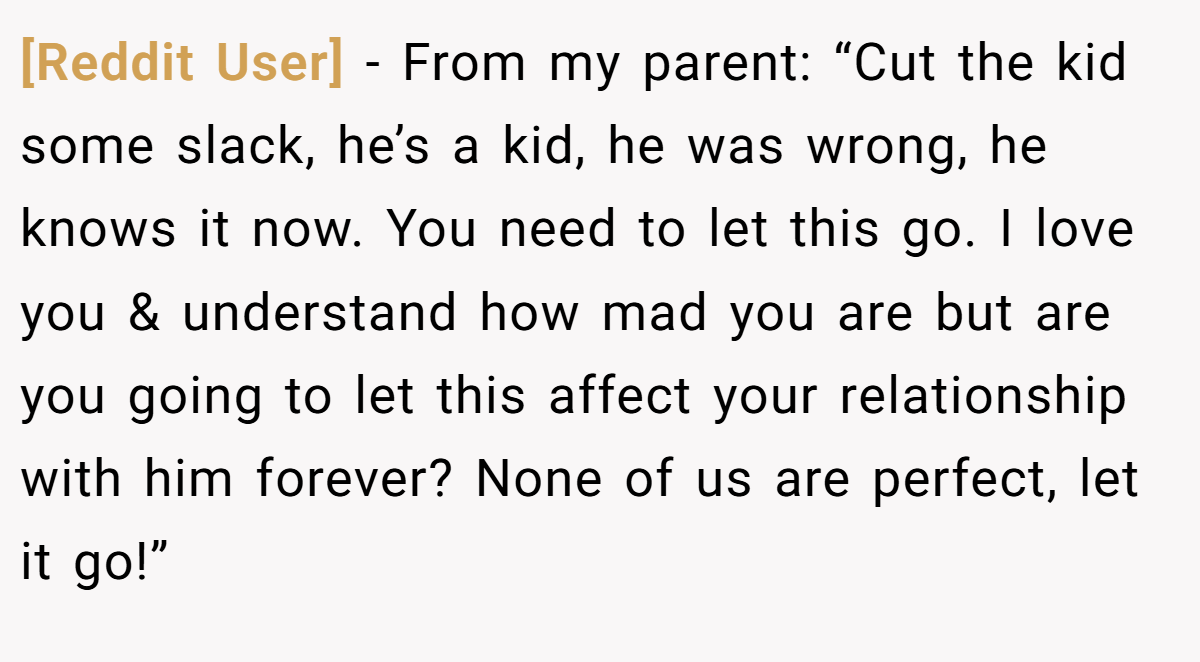 [Reddit User] − From my parent: “Cut the kid some slack, he’s a kid, he was wrong, he knows it now. You need to let this go. I love you & understand how mad you are but are you going to let this affect your relationship with him forever? None of us are perfect, let it go!”