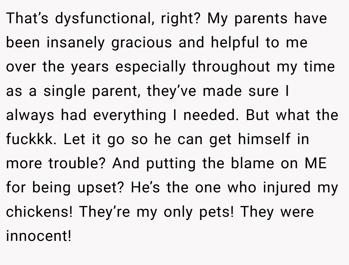 That’s dysfunctional, right? My parents have been insanely gracious and helpful to me over the years especially throughout my time as a single parent, they’ve made sure I always had everything I needed. But what the fuckkk. Let it go so he can get himself in more trouble? And putting the blame on ME for being upset? He’s the one who injured my chickens! They’re my only pets! They were innocent!