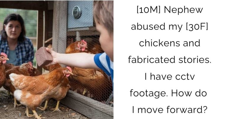 [10M] Nephew abused my [30F] chickens and fabricated stories. I have cctv footage. How do I move forward?