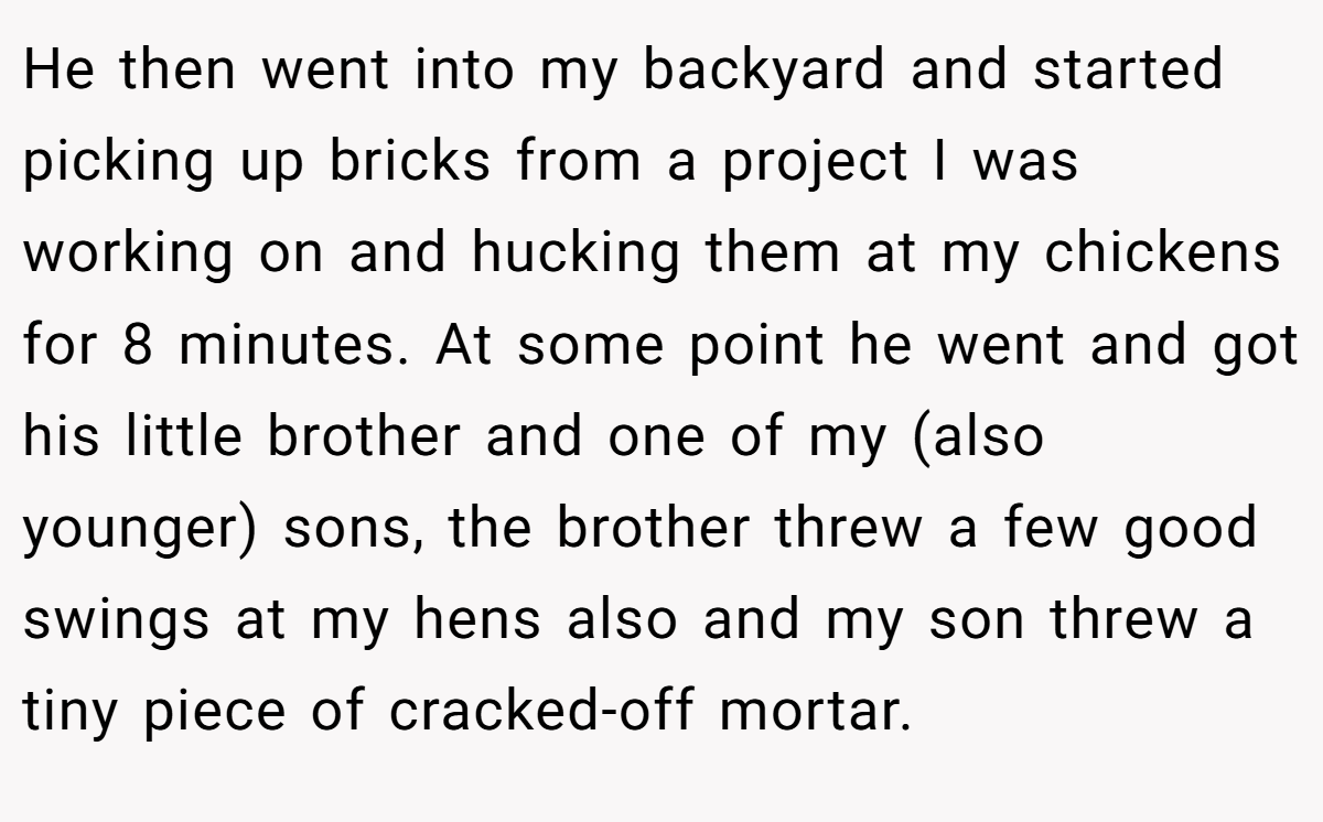 He then went into my backyard and started picking up bricks from a project I was working on and hucking them at my chickens for 8 minutes. At some point he went and got his little brother and one of my (also younger) sons, the brother threw a few good swings at my hens also and my son threw a tiny piece of cracked-off mortar.