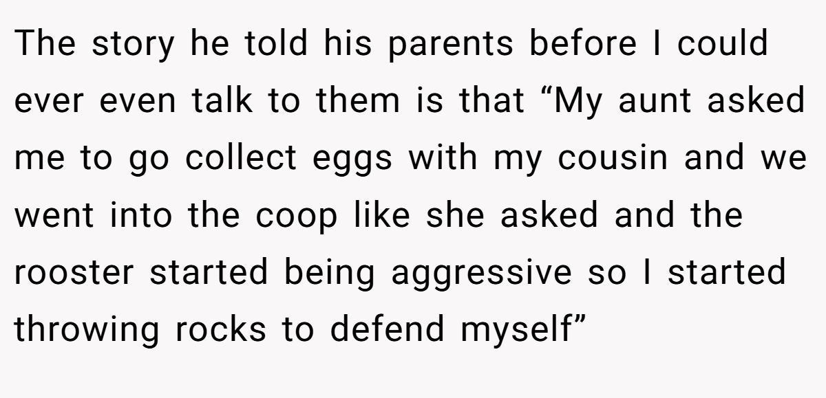 The story he told his parents before I could ever even talk to them is that “My aunt asked me to go collect eggs with my cousin and we went into the coop like she asked and the rooster started being aggressive so I started throwing rocks to defend myself”