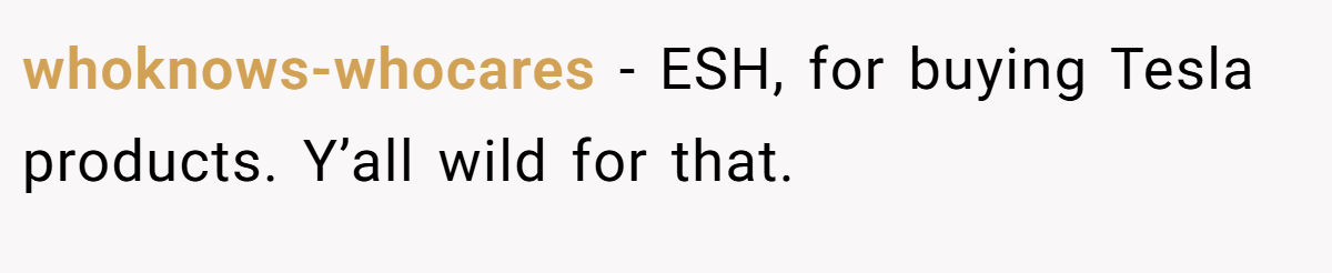 whoknows-whocares − ESH, for buying Tesla products. Y’all wild for that.
